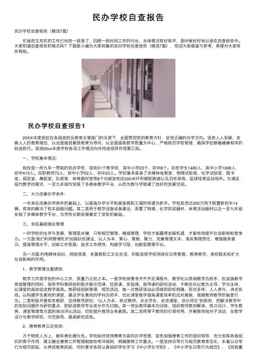 民办学校自查报告