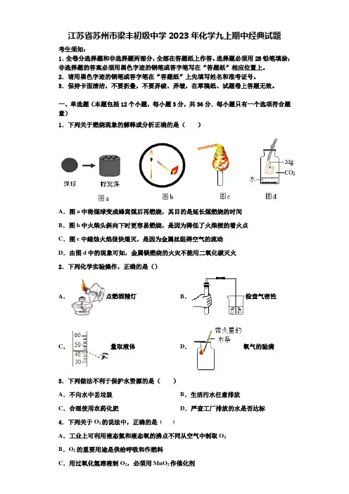 江苏省苏州市梁丰初级中学2023年化学九上期中经典试题含解析