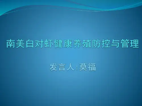 南美白对虾生态养殖技术实操