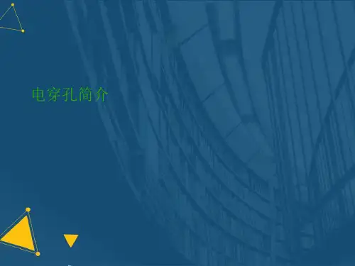 (优选)电穿孔简介详解.