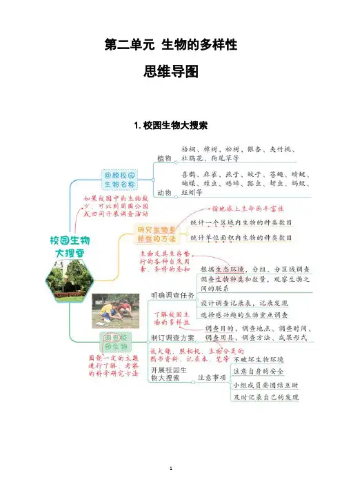 教科版小学科学六年级上册第二单元《生物的多样性》思维导图
