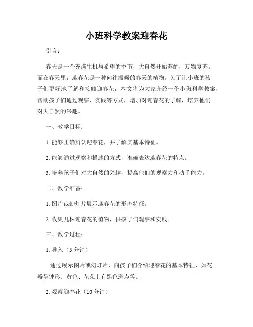 小班科学教案迎春花