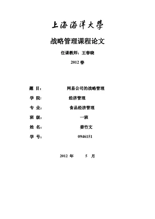 网易战略管理-范本模板