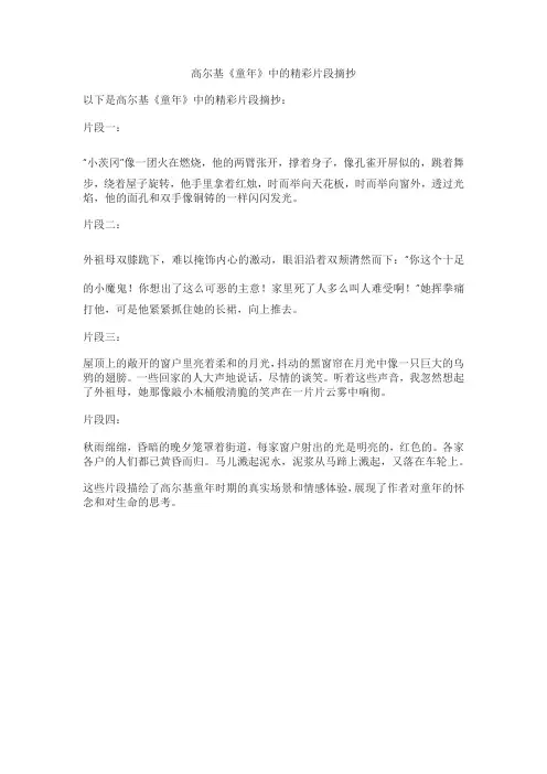 高尔基童年精彩片段摘抄