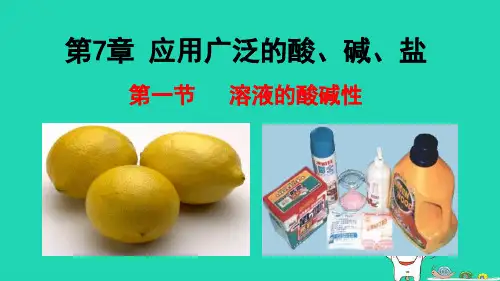 2024九年级化学下册第7章应用广泛的酸碱盐第1节溶液的酸碱性课件沪教版