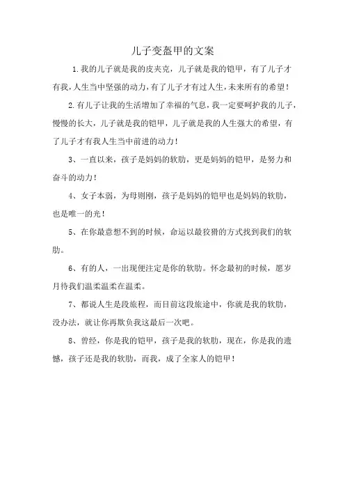 儿子变盔甲的文案