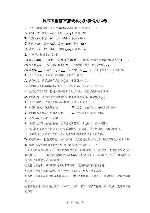 最新整理陕西省渭南市蒲城县小升初语文试卷和答案解析
