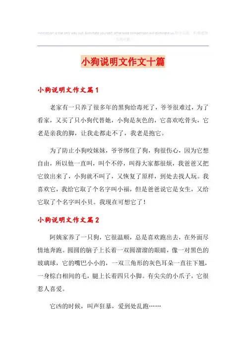 小狗说明文作文十篇