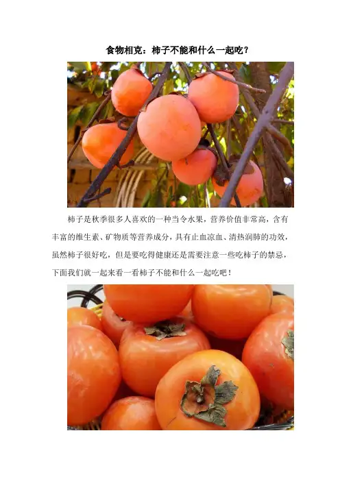 食物相克：柿子不能和什么一起吃？