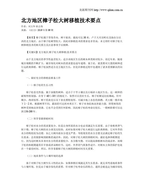 北方地区樟子松大树移植技术要点