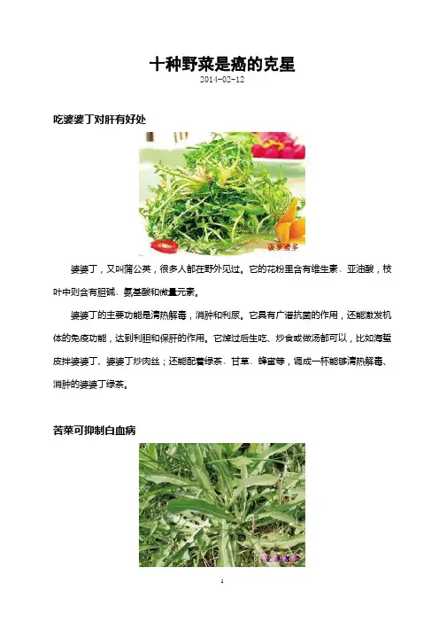 癌的克星 — 十种野菜