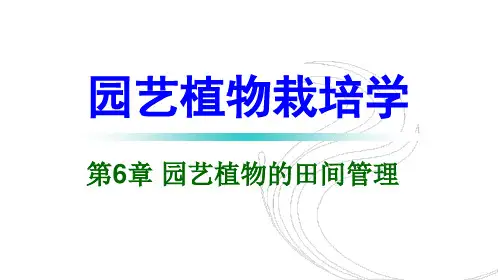 植株化控技术