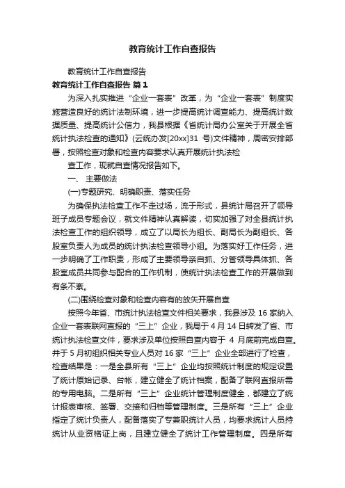 教育统计工作自查报告