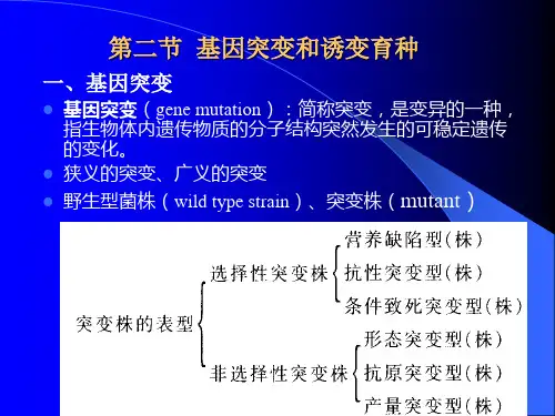 第七章微生物的遗传变异和育种2