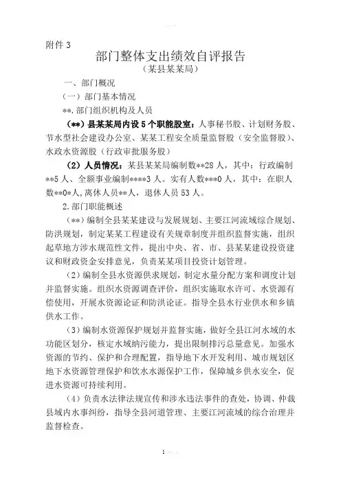 部门整体支出绩效评价报告(百度文库)