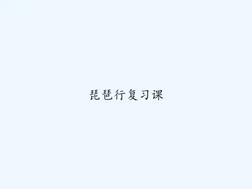 琵琶行复习课 PPT