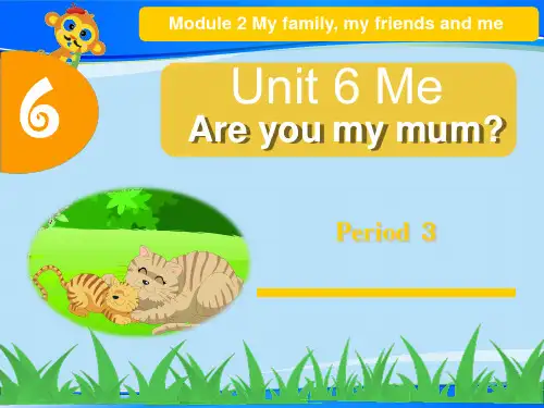 三年级英语unit 6 Me Period3 牛津上海版 (共24张PPT)