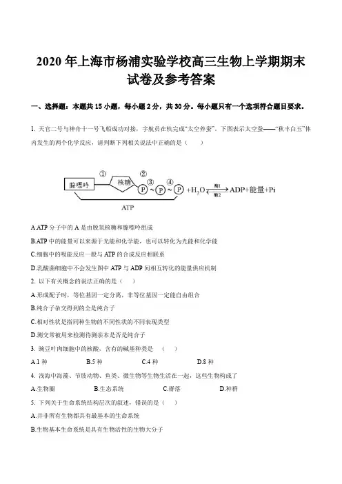 2020年上海市杨浦实验学校高三生物上学期期末试卷及参考答案