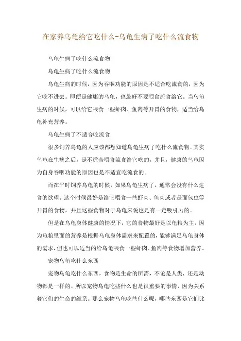 在家养乌龟给它吃什么-乌龟生病了吃什么流食物