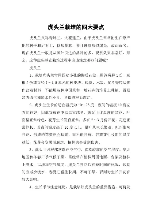 虎头兰栽培的四大要点