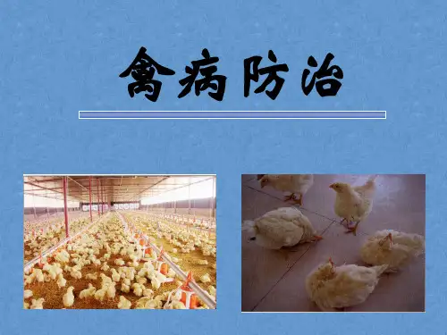 禽病防治课件——第一章家禽病毒性传染病 
