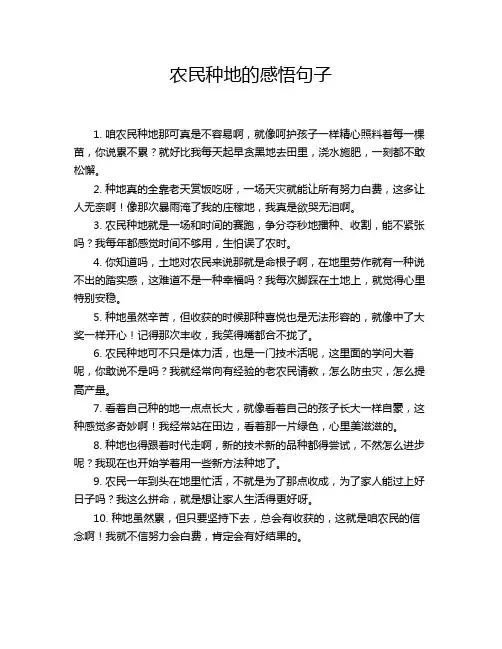 农民种地的感悟句子