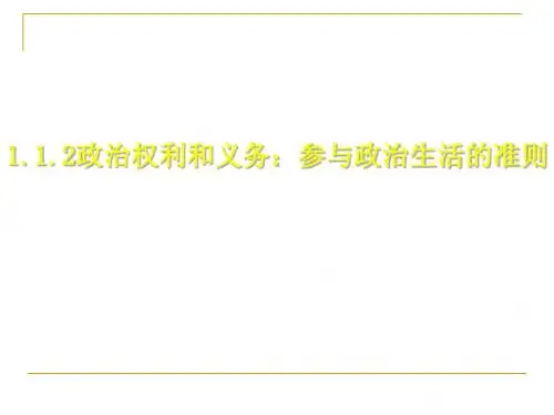 政治权利与义务：参与政治生活的准则PPT课件2 人教课标版