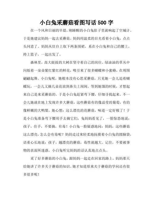 小白兔采蘑菇看图写话500字(精编版)