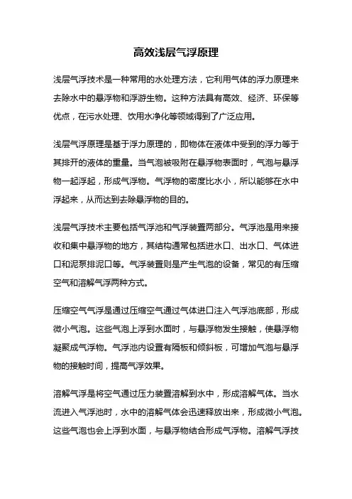 高效浅层气浮原理