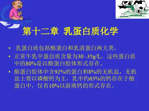 第十二章 乳蛋白质化学