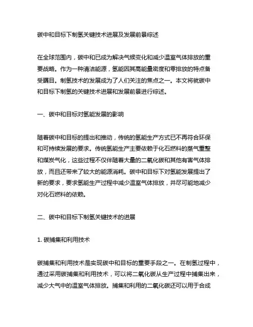 碳中和目标下制氢关键技术进展及发展前景综述