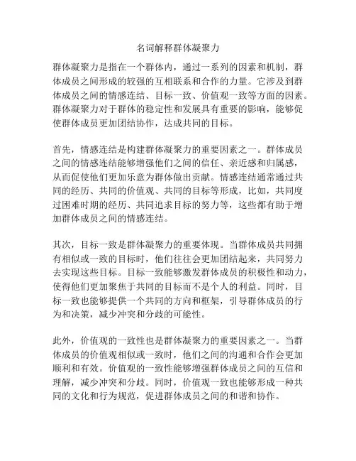 名词解释群体凝聚力