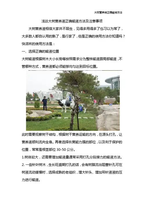浅谈大树营养液正确输液方法及注意事项