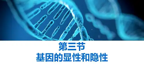最新人教版初中生物八年级下册《基因的显性和隐性》教学课件