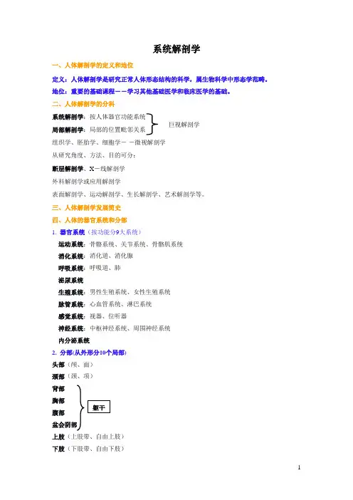 01系统解剖学归纳