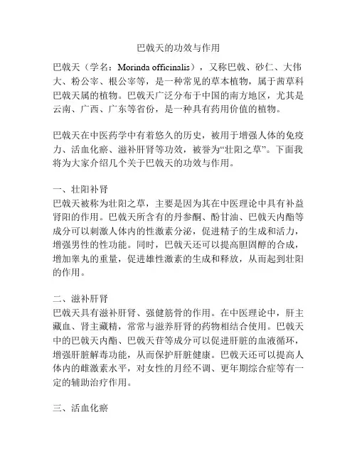 巴戟天的功效与作用