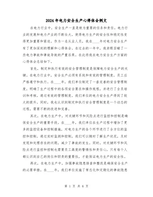 2024年电力安全生产心得体会例文(2篇)