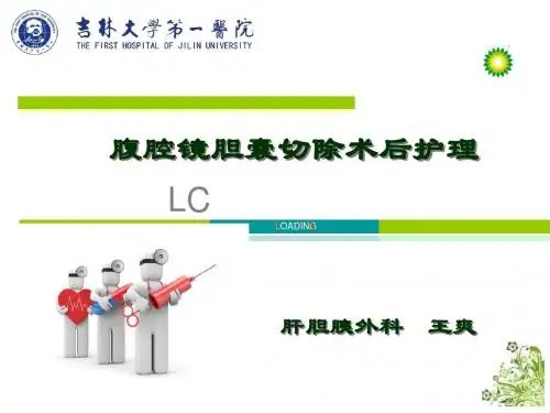LC术后护理