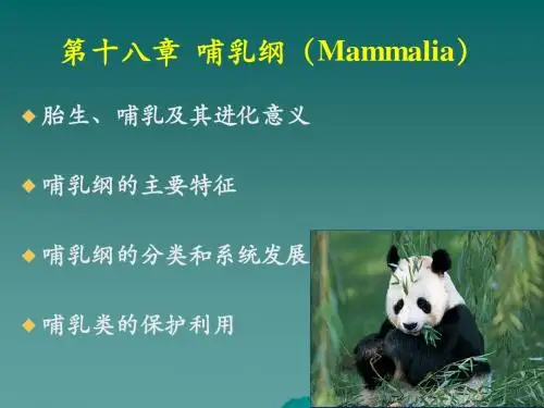 19哺乳纲(十九)