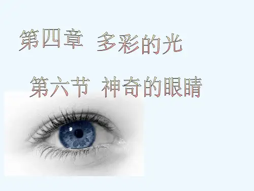 沪科版八年级物理上册第四章第六节神奇的眼睛课件