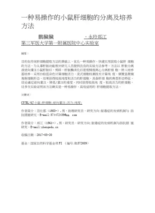 一种易操作的小鼠肝细胞的分离及培养方法