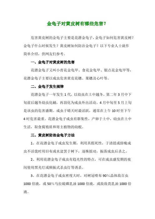 金龟子对黄皮树有哪些危害？