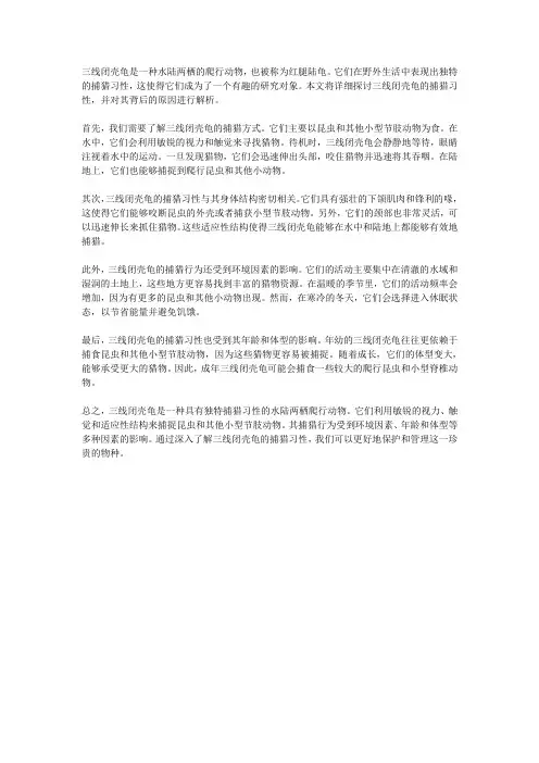 三线闭壳龟捕猎习性