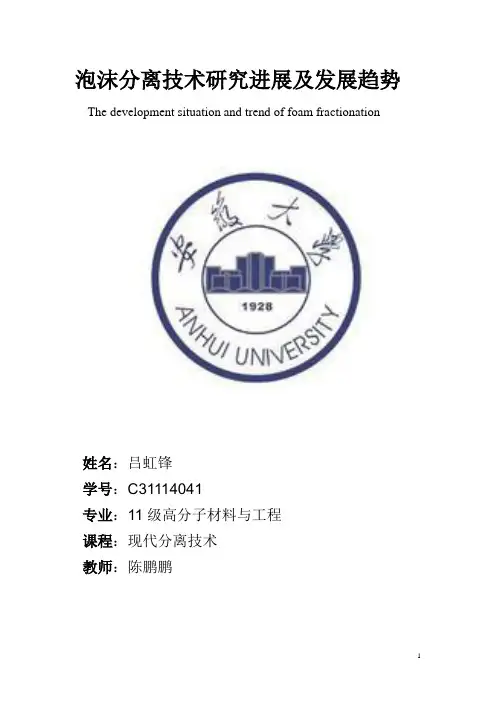 泡沫分离技术