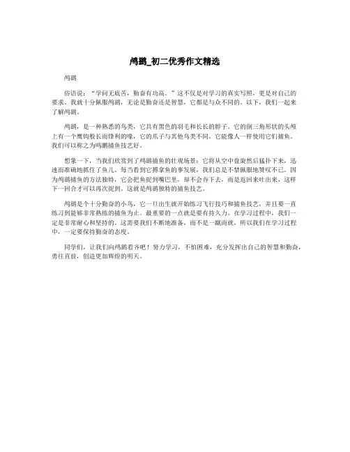鸬鹚_初二优秀作文精选