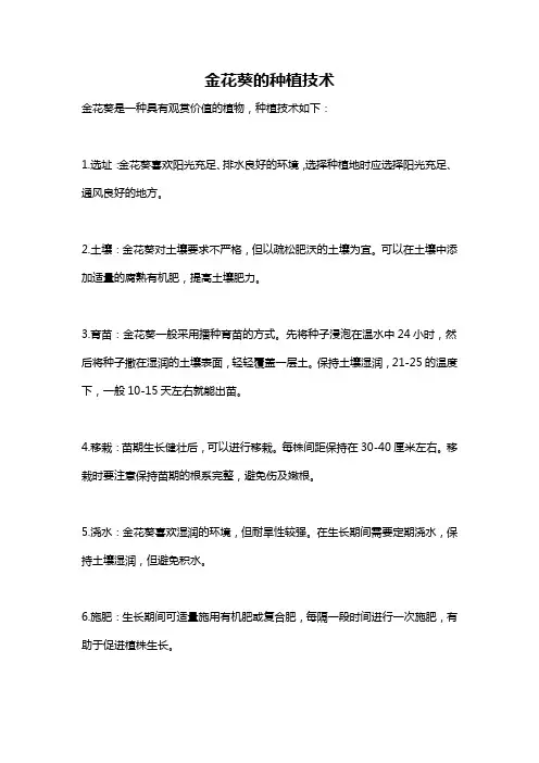 金花葵的种植技术