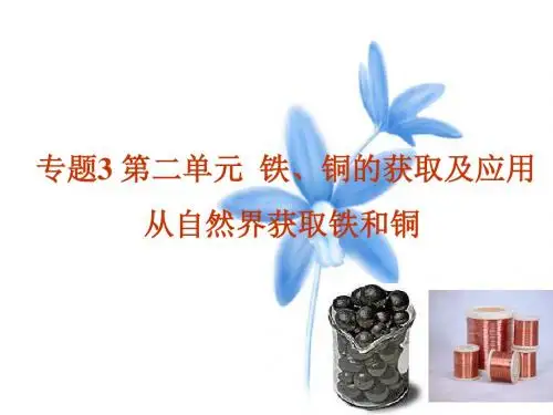 从自然界获取铁和铜