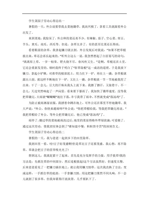 学生菜园子劳动心得总结五篇