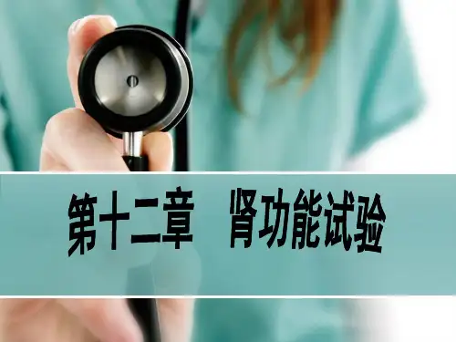 十二章 肾功能检查