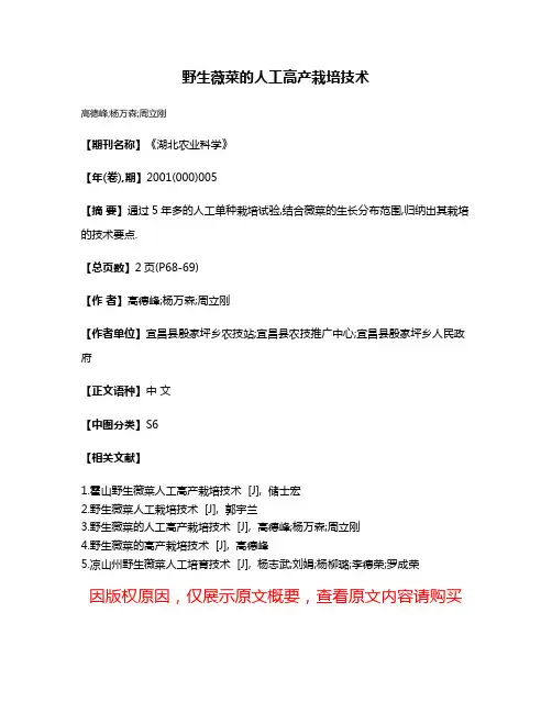 野生薇菜的人工高产栽培技术